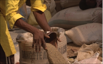 Perspectives on food safety across traditional market supply chains in Nigeria