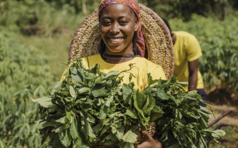 Gender Analysis of Food Systems Policies:Supporting gender responsive policies and policy development processes in Nigeria.