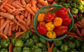 Integrating Food Safety and Nutrition for Improved Health and Wellbeing - A New Lens on Food System Frameworks