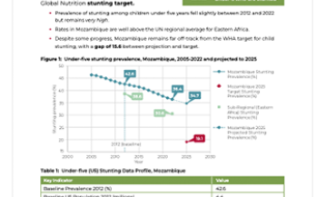 Mozambique Fact Sheet-WHA Global Nutrition Target