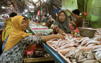 GAIN Briefing Paper n°16:NOURISHING PEOPLE AND PLANET ENVIRO-NUTRITIONAL INSIGHTS INTO LOCAL FOODS FOR POLICY, PROGRAMMES, AND INDUSTRY