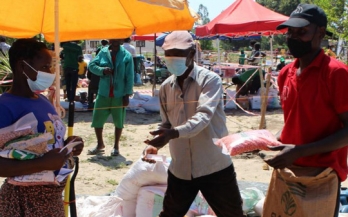 Impacts of COVID-19 on small- and medium-sized enterprises in the Mozambican food system