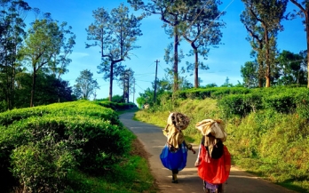 Providing supplementary nutritious foods at work during COVID-19 - the benefits to workers and considerations for employers