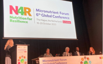 GAIN Convening Paper 9: Multi-Sectoral Governance - Learning from the Dutch National and International Experience 