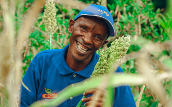 GAIN Working Paper n°41: A Review of the Aggregation Models Used in the Commercialisation of Biofortified Crops Programme 