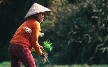 Building healthier supply chains: the business case