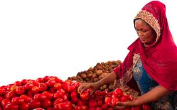 Food Safety In Tanzania