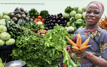 Benin’s Nutrition Commitments for a Resilient Future: Benin’s road to the 2025 Paris Nutrition for Growth (N4G) Summit