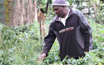 Joseph Mbatia, a fish farmer in Kenya